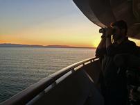 Birdwatching & Sunset Cruise for 5 202//151